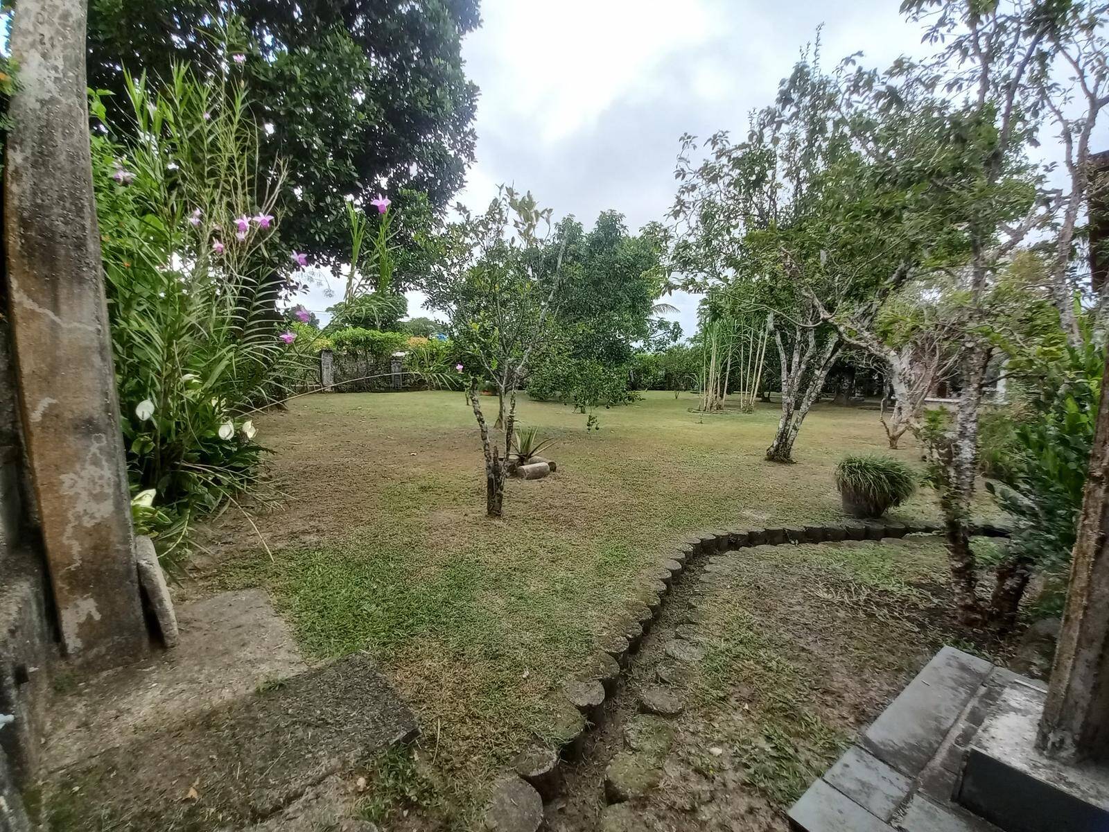Sítio, 3 quartos, 976 m² - Foto 41