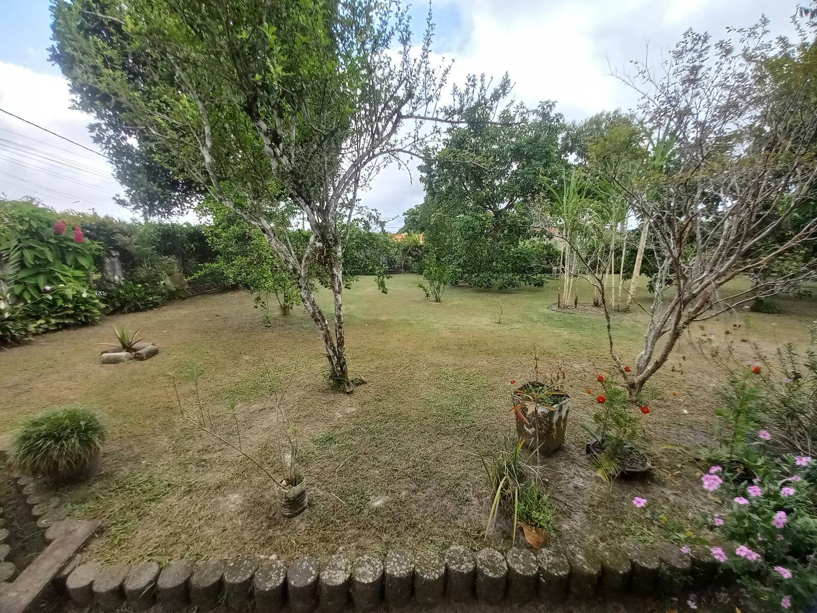 Sítio, 3 quartos, 976 m² - Foto 8