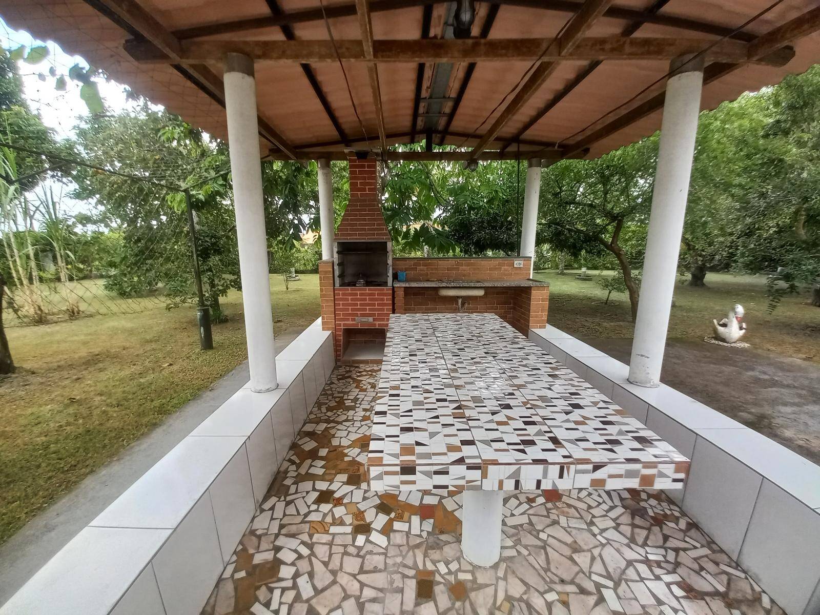 Sítio, 3 quartos, 976 m² - Foto 72