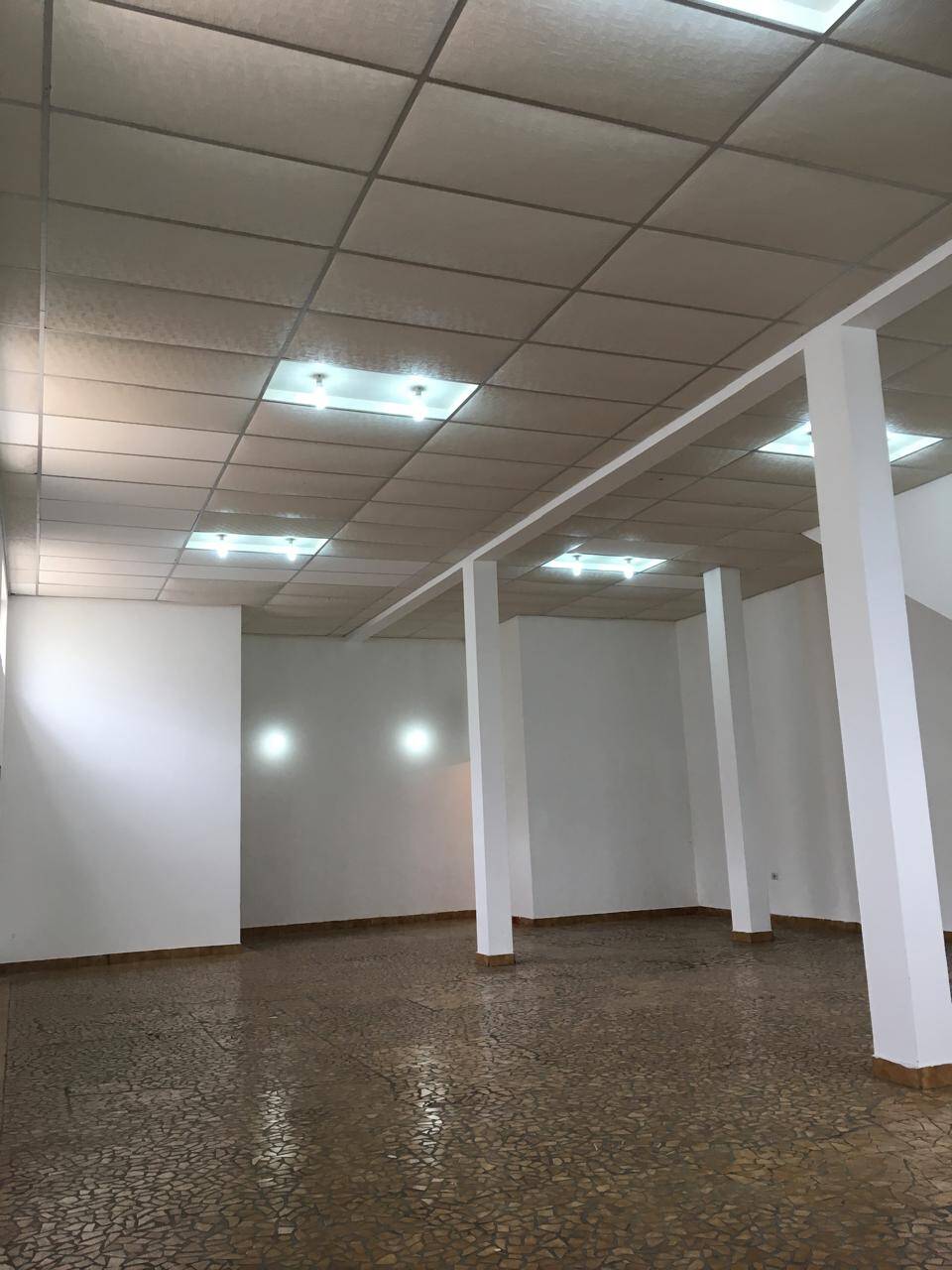 Sala-Conjunto, 360 m² - Foto 10