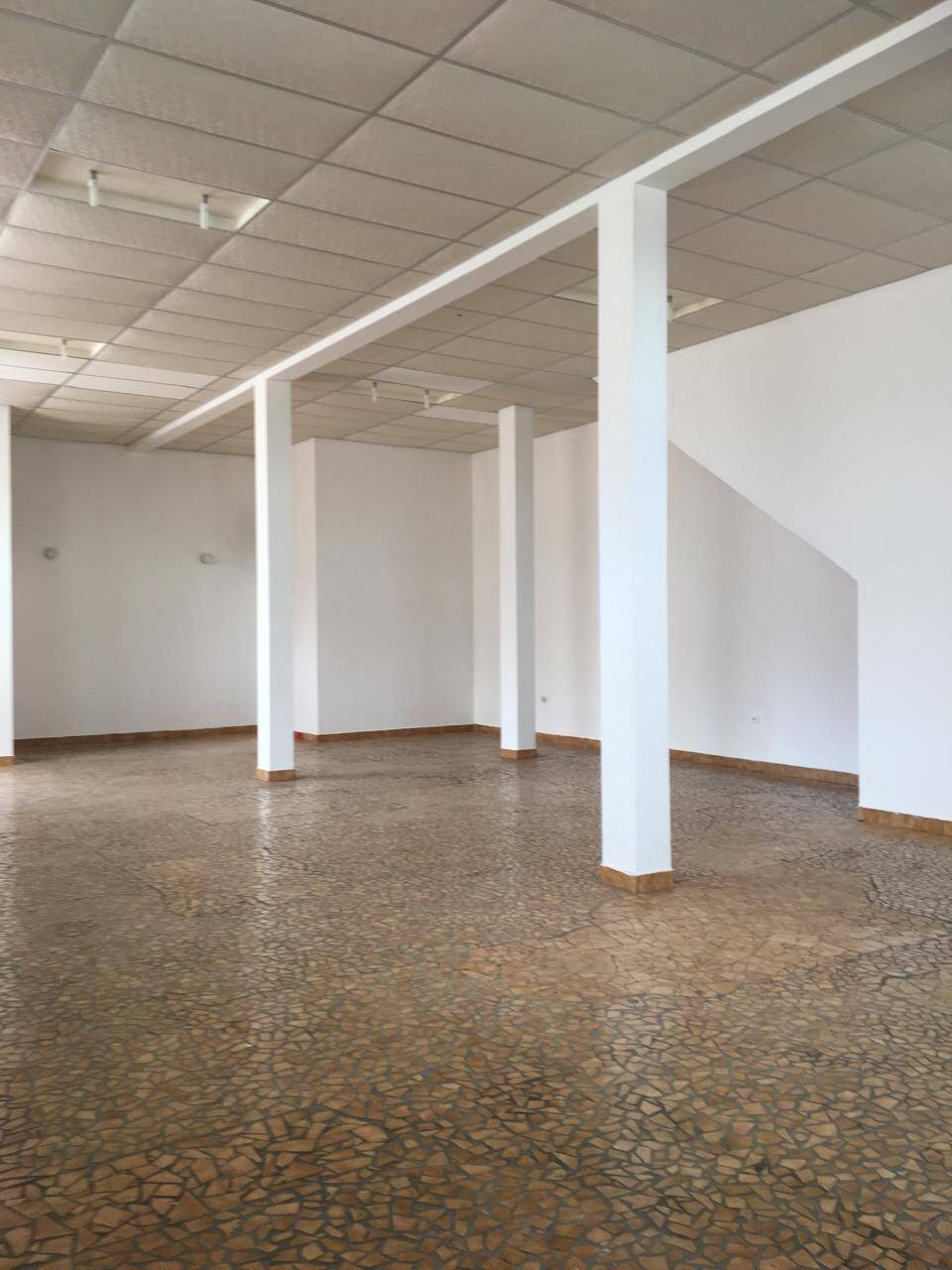 Sala-Conjunto, 360 m² - Foto 16